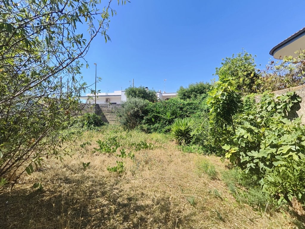 Giano Group Immobiliare